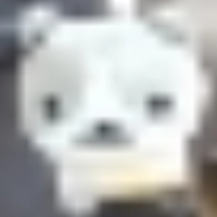DvCGaming
