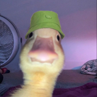 CEOofVibez