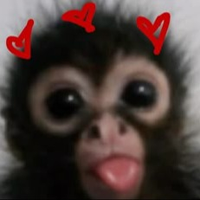 ABO 5LOOD0