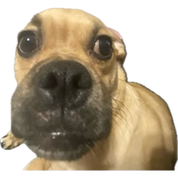 betobot000