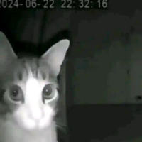 wabalababingbong
