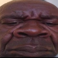 FlongsMudHut