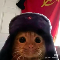 Kataki_hous