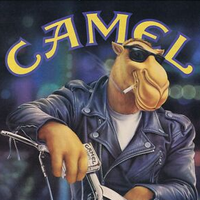 cameljoe72