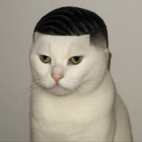 JaX2nKen