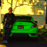 pardo_v8