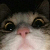 Soppita