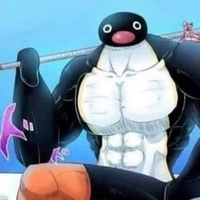 pingulepicolo