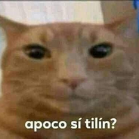 eL_Waos