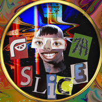 SLICE 7H