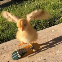 Galo_Sniper505