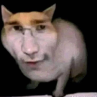 The4shen0ne