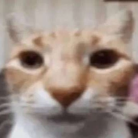 mauditmgl