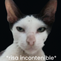 RitoToko