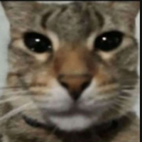 jollycaptus_3