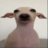 pipito112
