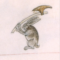 DarnChicken