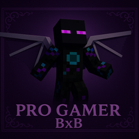 PRO Gamer BxB