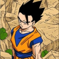 SSJ_ven4