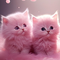 kittypaws770