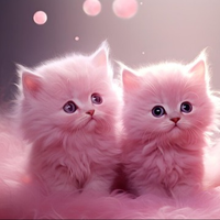 kittypaws778