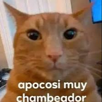 xXsoyese696969Xx