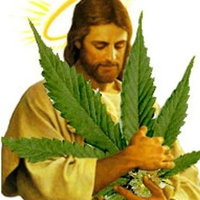 PapuMamutte23