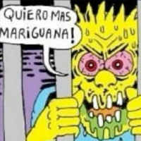 berlofamatamonk