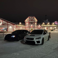 Alaskyne