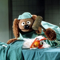 MuppetJudio