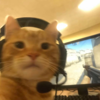 nelsonray