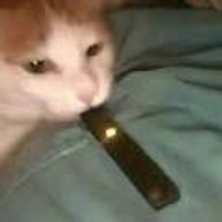 tooklicti