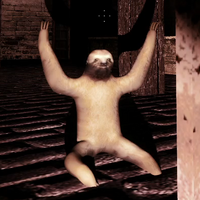 SlothBoy
