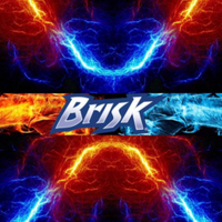 Brisk4000
