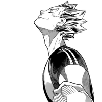 Bokuto-san