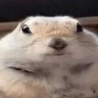 Deloti