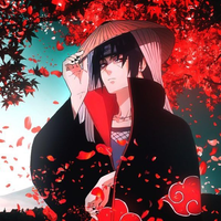 ITACHI2312