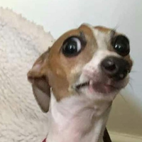 TeTraNuTra_xD