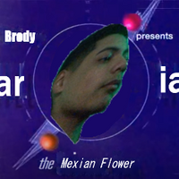 BrodytheCar