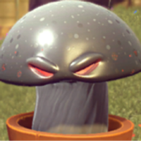 Locoiado
