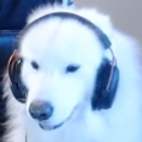 Cooler_Taurtis