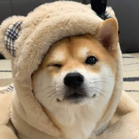 Malyyz