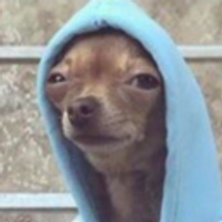 V1rusTextSupport
