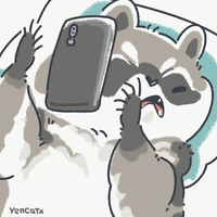 MR.COON