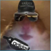 Jstevv