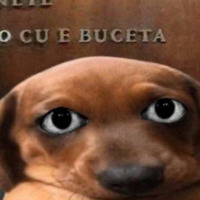 Mxkll