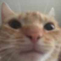 Kleib