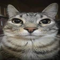 benjidozcool
