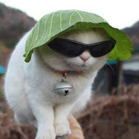 PimousseKa