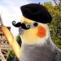 Retr0_Borb